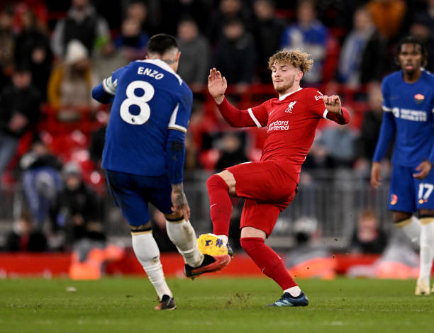 中的莱斯特 中的莱斯特